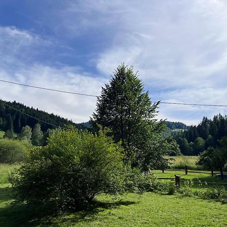 Drewniany Domek Bb Nad Rzeka Powroznik Exterior foto